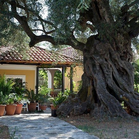 זקינטוס טאון Villa Christina מראה חיצוני תמונה