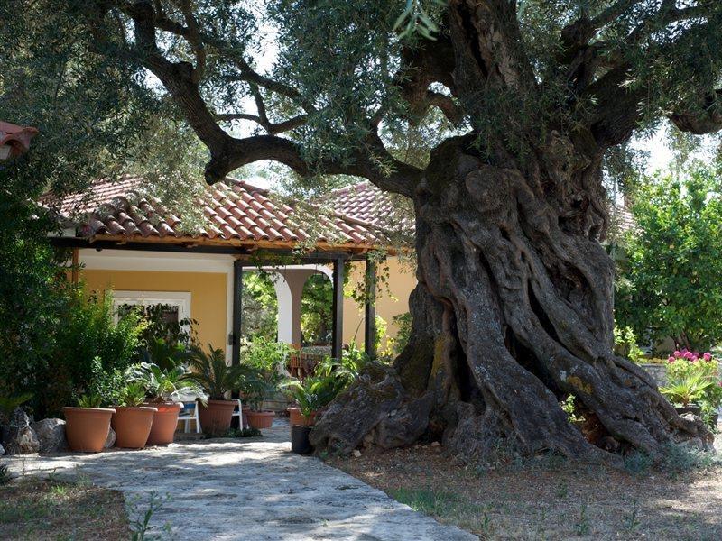 זקינטוס טאון Villa Christina מראה חיצוני תמונה